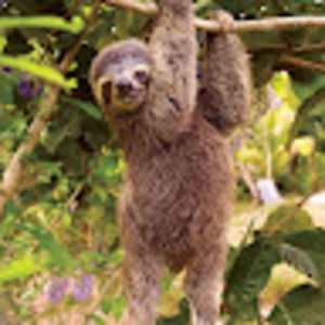 Meet your Posher, Wendi